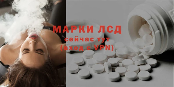 стаф Арсеньев